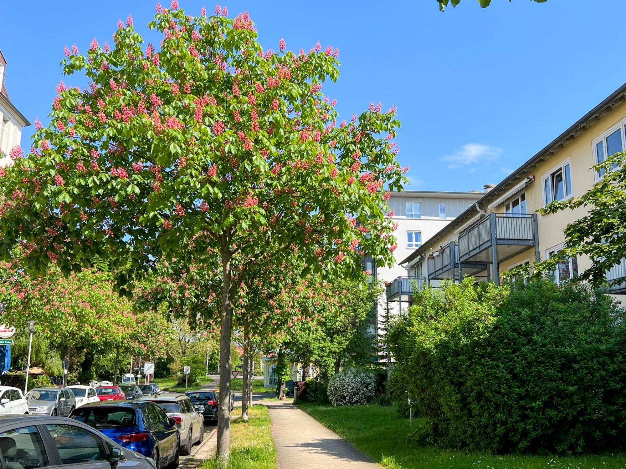 New-York Appartment, 2 Zimmer, Zentral Naehe Bahnhof Wilhelmshoehe Kassel Zewnętrze zdjęcie